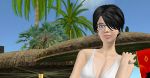 FBI w Second Life