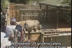 Z Czech do afrykańskiego zoo