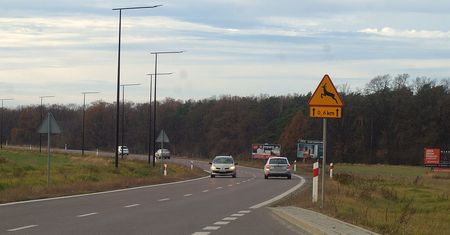 8-latek z 6-latką ruszyli ze Świdnika do Lublina. Chcieli kupić sobie zupkę chińską