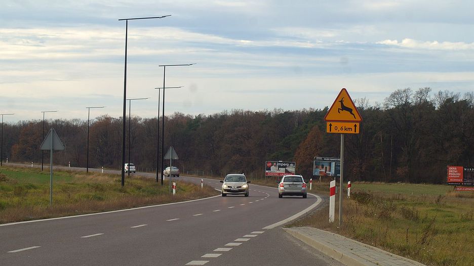 Zdjęcie ilustracyjne