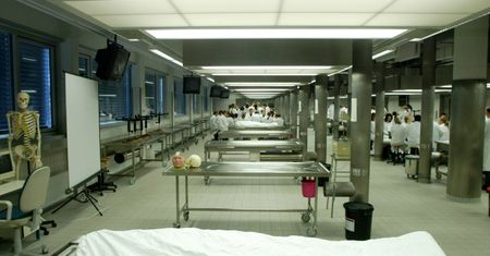 Francja. "Nagie i gnijące ciała ułożone w sterty". Oskarżony znany naukowiec