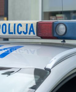 Gang rozbity. Przez ich ręce przeszły setki kilogramów narkotyków