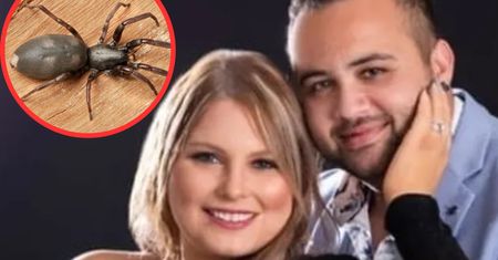 Straciła nogę po ukąszeniu pająka. Dramat młodej matki z Sydney