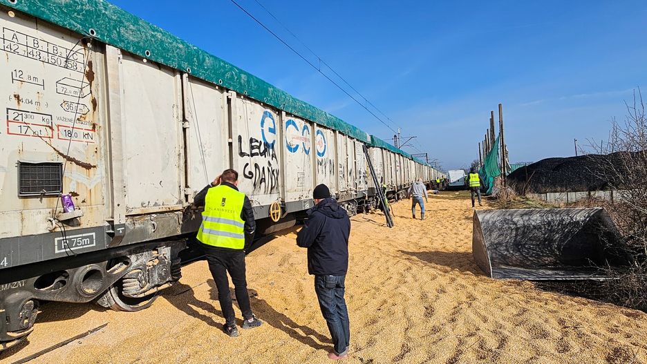Kotomierz (woj. kujawsko-pomorskie), 26.02.2024. Zbieranie rozsypanej na tory z wagonów kukurydzy w miejscowości Kotomierz, 26 bm. Na ten moment nie wiadomo, kiedy doszło do wysypania i kto to zrobił. Policja nie potwierdza także, skąd pochodziło zboże. (aldg) PAP/Tomasz Więcławski ***Zdjęcie do depeszy PAP pt. Kujawsko-pomorskie/ Policja: w Kotomierzu trwa zbieranie rozsypanej na tory kukurydzy***