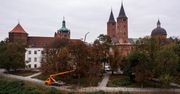 Pielęgnacja zieleni w Jarze Abisynia – miasto zadba o drzewa i tereny zielone w Płocku