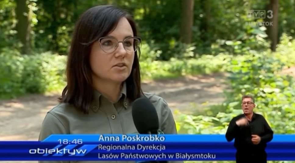 Wpadka TVP! Pracownica Lasów Państwowych zachwala serwis jako... "turystka"