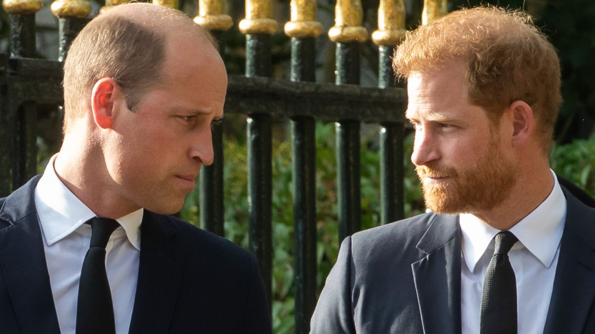 William chce porozmawiać z Harrym bez obecności Meghan Markle.