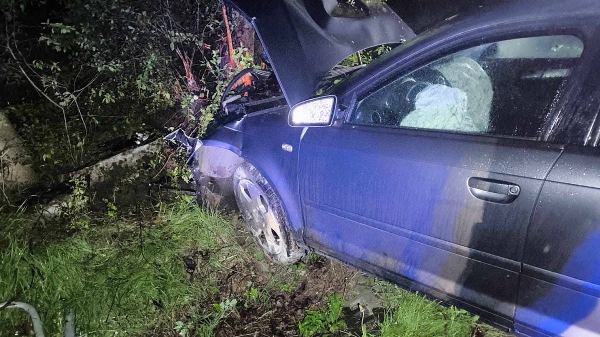 Audi uderzyło w drzewo