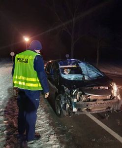 Groźny wypadek z udziałem łosia. Pasażerka nissana trafiła do szpitala