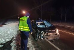 Groźny wypadek z udziałem łosia. Pasażerka nissana trafiła do szpitala