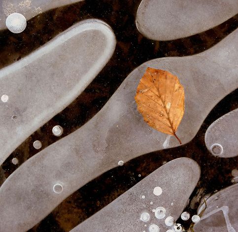 15 inspirujących zimowych fotografii [GALERIA] 2