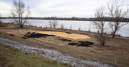 Słynna plaża na Białołęce za 100 tys. zł. Wciąż świeci pustkami