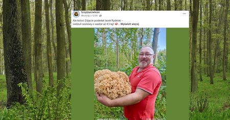 "Ale kolos". Gigantyczny grzyb wywołał burzę w sieci