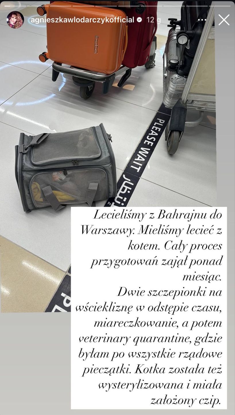 Agnieszka Włodarczyk musiała porzucić kotkę na lotnisku