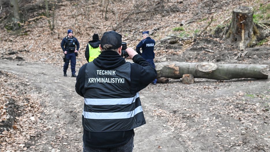 miejsce wypadku
Szczecin, 29.03.2024. Policja w miejscu wypadku przy ul. Ch�opskiej na osiedlu Bukowa w Szczecinie, 29 bm. Czworo dzieci dozna�o obra�e� po tym, jak na grup� przedszkolak�w spaceruj�cych po lesie spad� konar drzewa. Przetransportowano je do szpitala Zdroje w Szczecinie. Ich zdrowiu nic nie zagra�a. (jm) PAP/Marcin Bielecki 

***Zdj�cie do depeszy PAP pt. Szczecin/ Czworo przedszkolak�w przygniecionych przez konar drzewa***
Marcin Bielecki
drzewo, konar, las, policja, s�u�by, wypadek