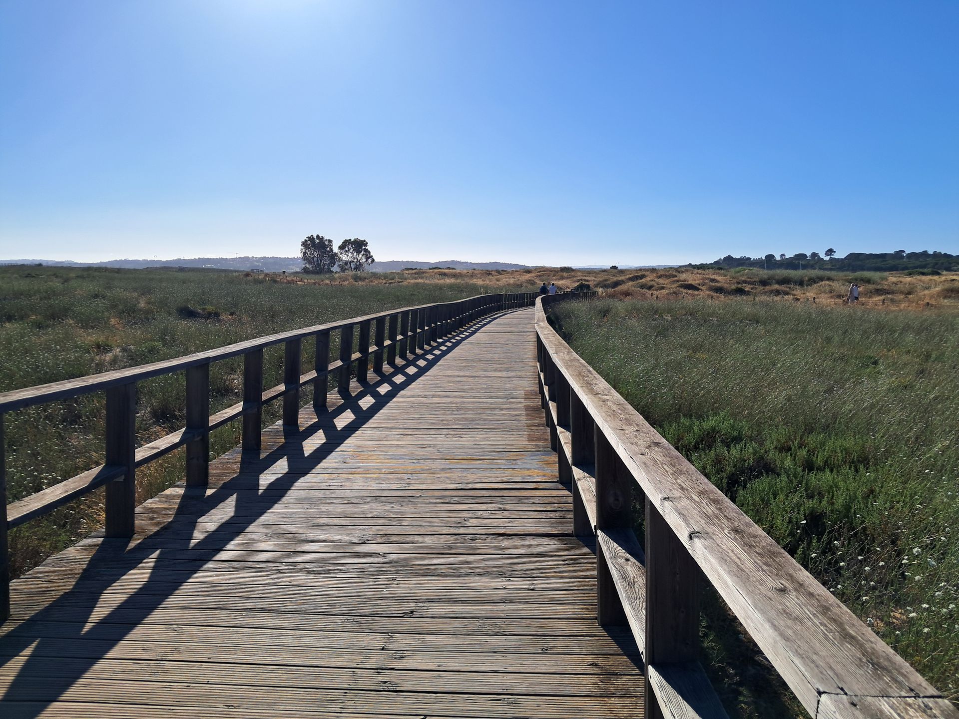 Szlak  Ria de Alvor prowadzi przez wydmy, równiny i słone bagna