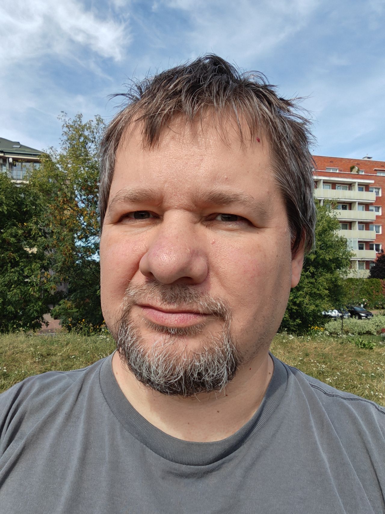 Obraz