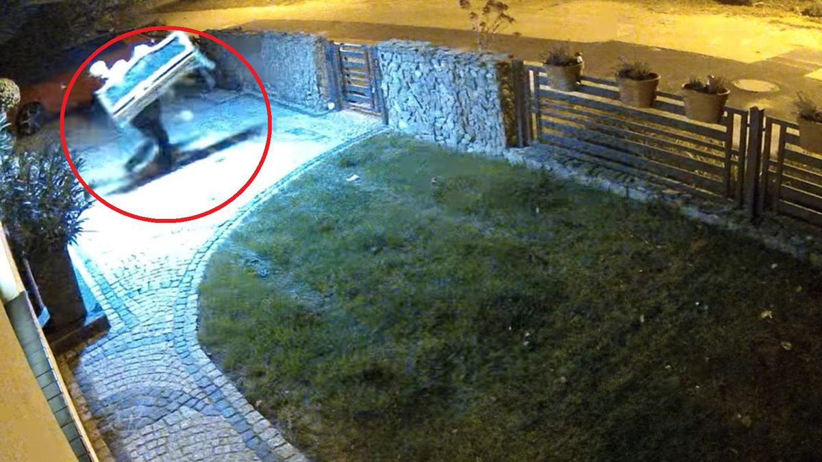 Nagranie "psikusa" z Zakrzewia