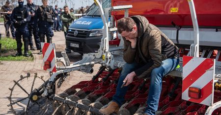 "Dramat". Zboże wcale nie wyjechało z Polski
