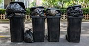 5 tys. zł mandatu za wyrzucenie tych śmieci do złego kosza. Kwalifikuje się co 5 Polak