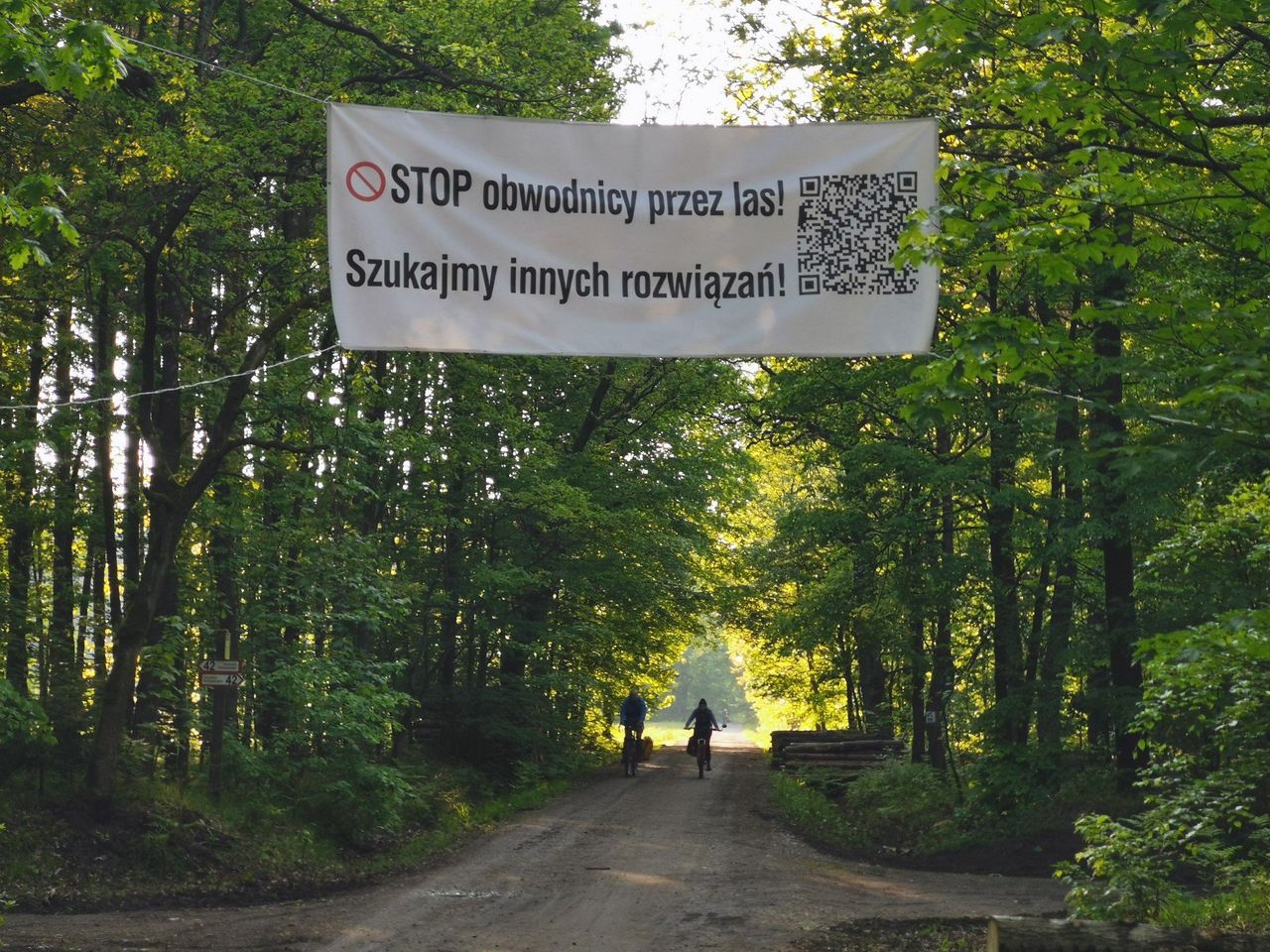 Młoszowa: Nie chcą wycinki drzew i budowy drogi. Walczą o puszczę