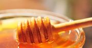 Miód oficjalnie stał się lekiem. Nowe zalecenia specjalistów ochrony zdrowia