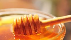 Miód oficjalnie stał się lekiem. Nowe zalecenia specjalistów ochrony zdrowia