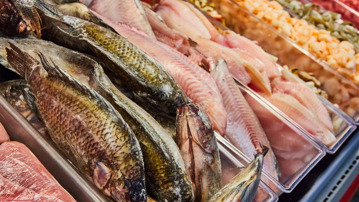 Ryby, które lepiej unikać