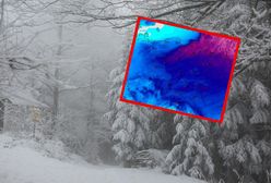 Nawet -26 stopni C. Wysłano alerty