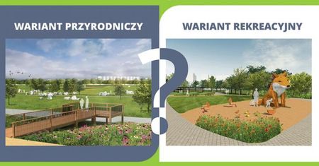 Gliwice. Konsultacje społeczne w sprawie Wilczych Dołów unieważnione