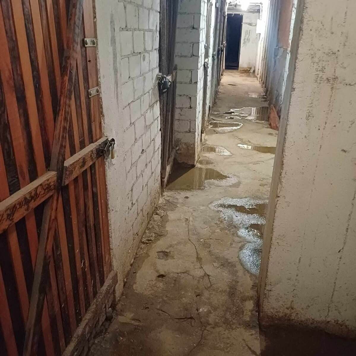 Wypompowane szambo z piwnicy