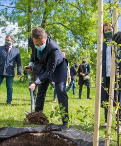 Warszawa. Symboliczne jabłonie na Polach Mokotowskich na święto samorządów