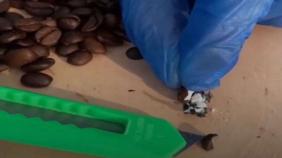 Przestępcy ukryli kokainę w ziarnach kawy 