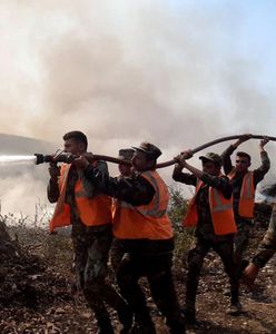 Egzekucja 24 osób w Syrii. "Byli odpowiedzialni za wywołanie pożarów"