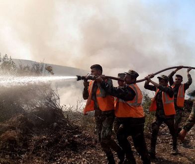 Egzekucja 24 osób w Syrii. "Byli odpowiedzialni za wywołanie pożarów"