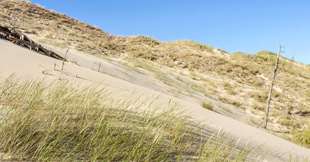 Walczą o polskie wydmy. Inwestycja za 27 mln zł w pomorskie plaże
