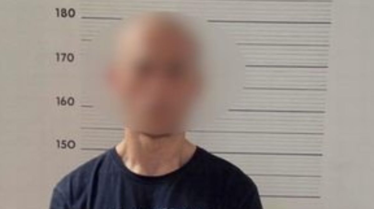 Wrocławianin znęcał się nad psem partnerki. Przyznał się do winy