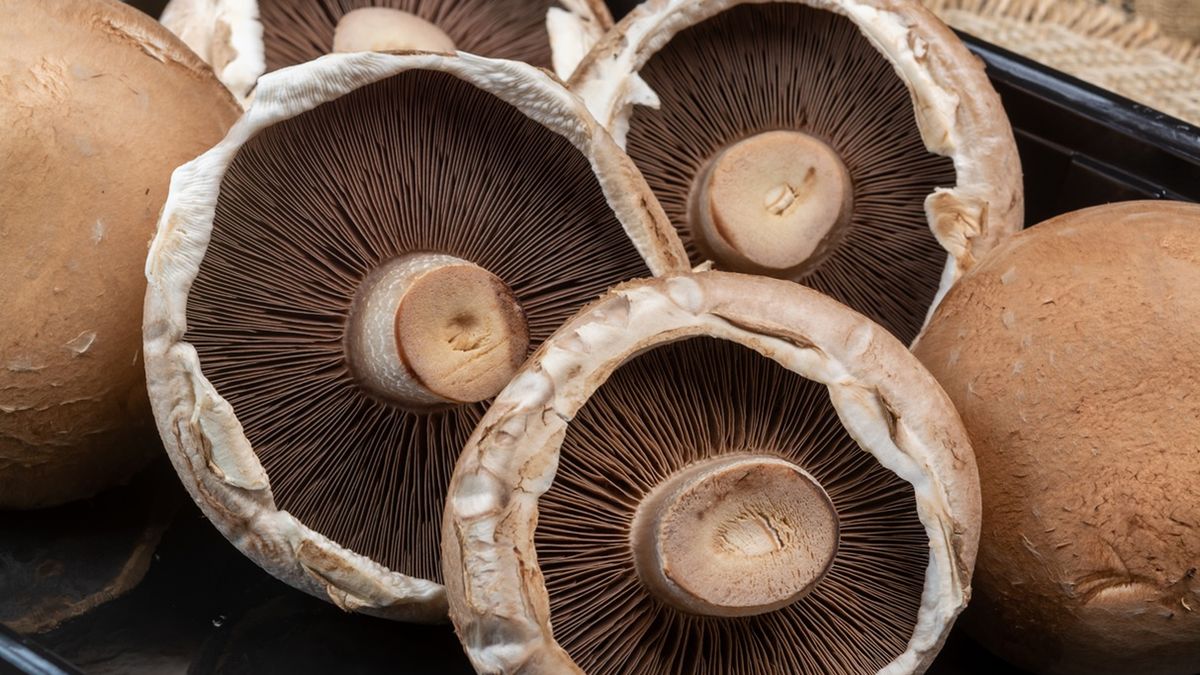 Jak wykorzystać pieczarki portobello w kuchni?