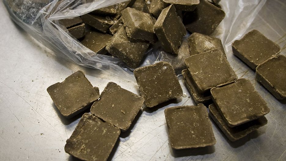 Szczepionki przeciwko wściekliźnie dla lisów. Samoloty będą zrzucać brunatne kostki