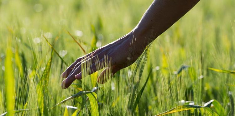 Do wyprodukowania smartfona potrzeba około 70 kg surowców.