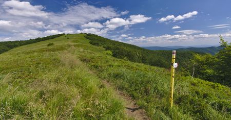 Nowy rezerwat w Bieszczadach. "Przez ostatnie 20 lat obszar pozostawał nietknięty"