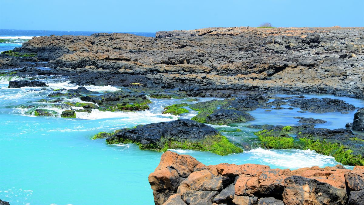 morski, plaza, woda, krajobraz, wybrzeze, oceanu, charakter, lato, ile, opoka, niebo, gniady, podróż, grece, góra, linia brzegowa, piach, espania, mediteran, kamienie, wzp, nostress, morze, ocean, plaża, rekiny