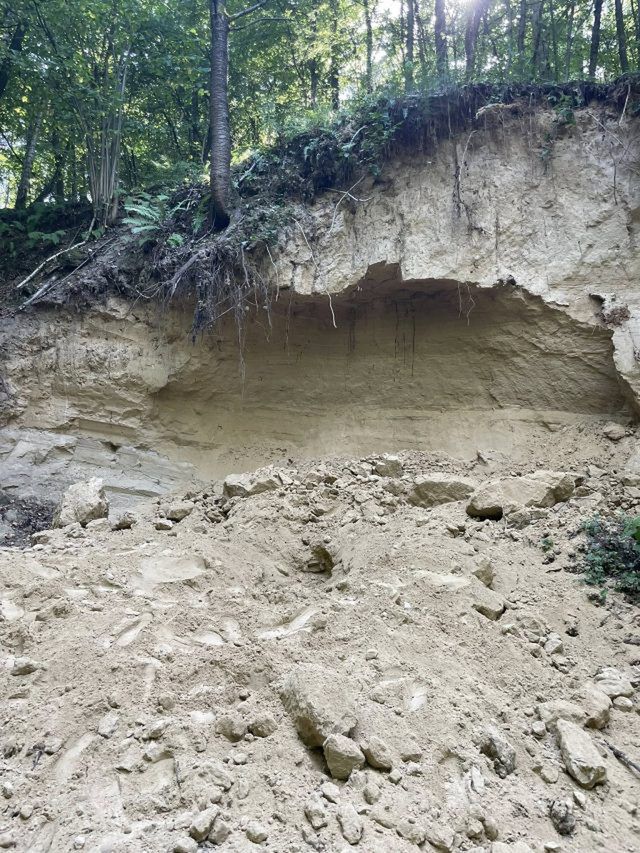 Dwoje dzieci przysypanych ziemią w lesie. Szybka reakcja opiekunów zapobiegła tragedii (zdjęcia)