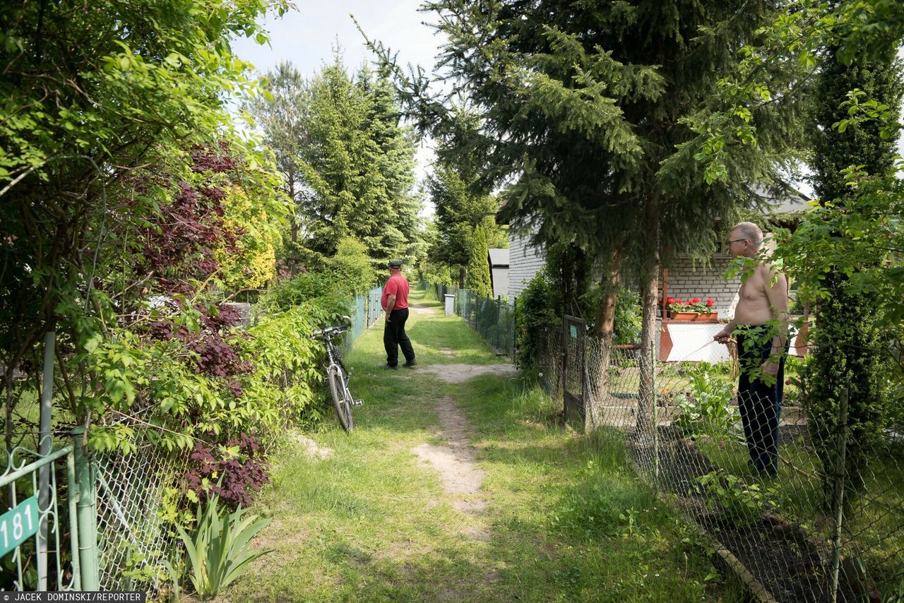 Konflikty Polaków na działkach. "Wyzwał moją córkę od niewychowanego bachora"