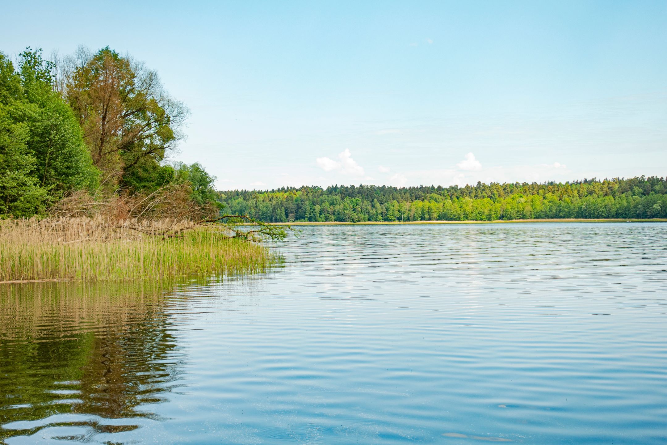Upalny poniedziałek nad Jeziorem