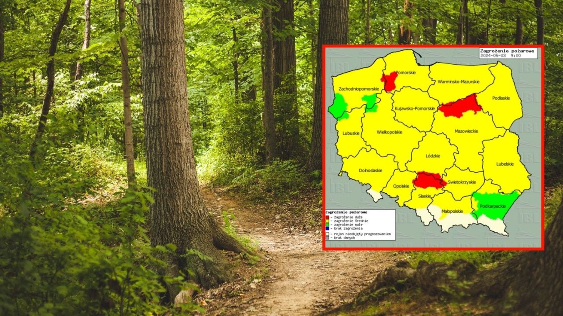 Wysoki stan zagrożenia pożarowego w polskich lasach