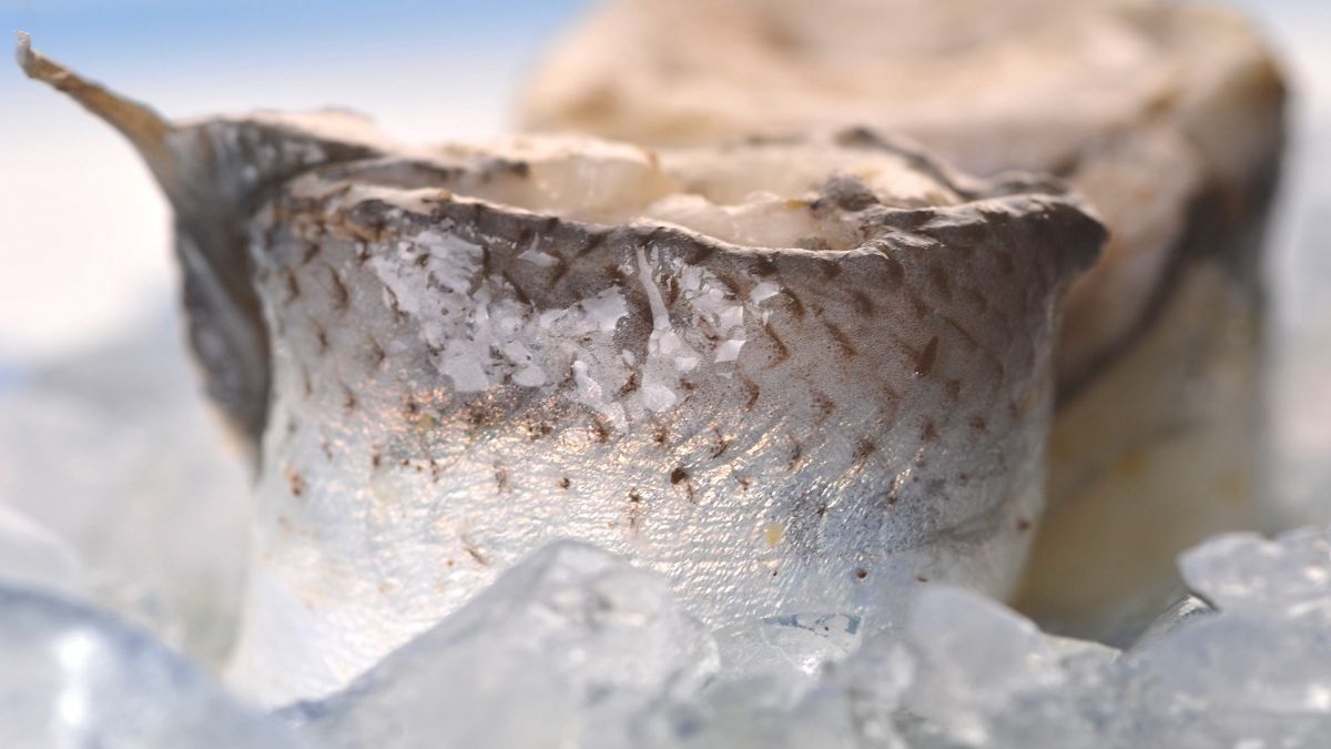 Filet śledzia zwinięty w roladkę 