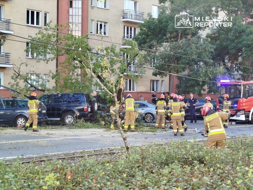 Grupa strażaków oczyszcza teren po przewróconym drzewie, które uszkodziło kilka samochodów na osiedlowej ulicy.