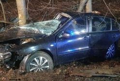 Auto z nastolatkami roztrzaskało się na drzewie. Nie żyje 16-latka