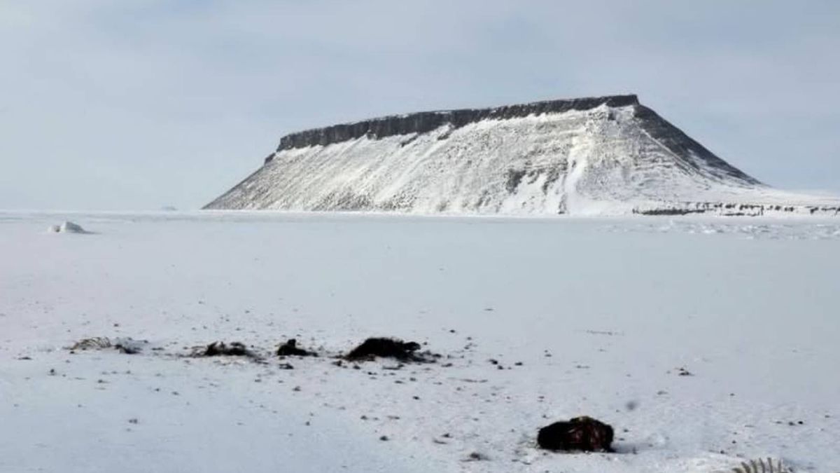 Badali lodowiec na Grenlandii. Znaleźli starą bazę wojskową